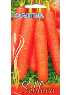 Carrot 'Karotina' 5 g