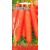 Carrot 'Karotina' 5 g