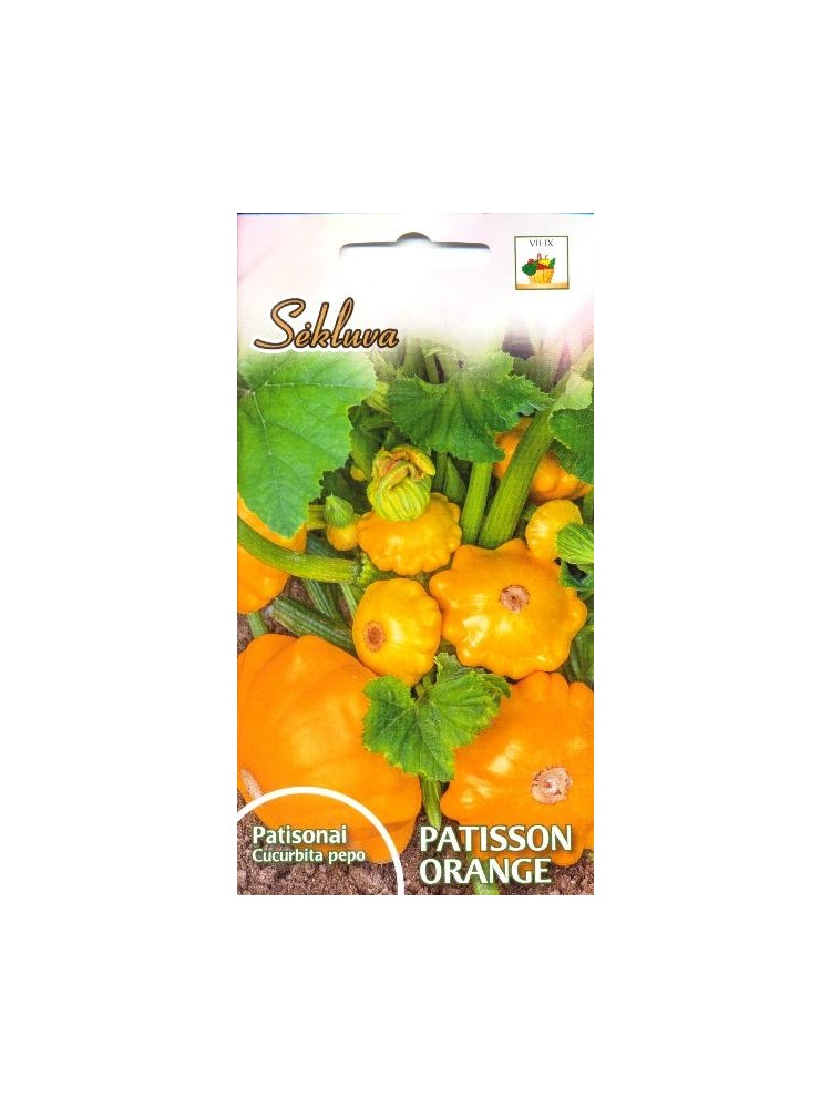 Pattypan squash 'Orange' 1 g