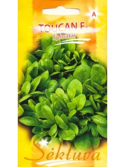 Spinach 'Toucan' H, 400 seeds