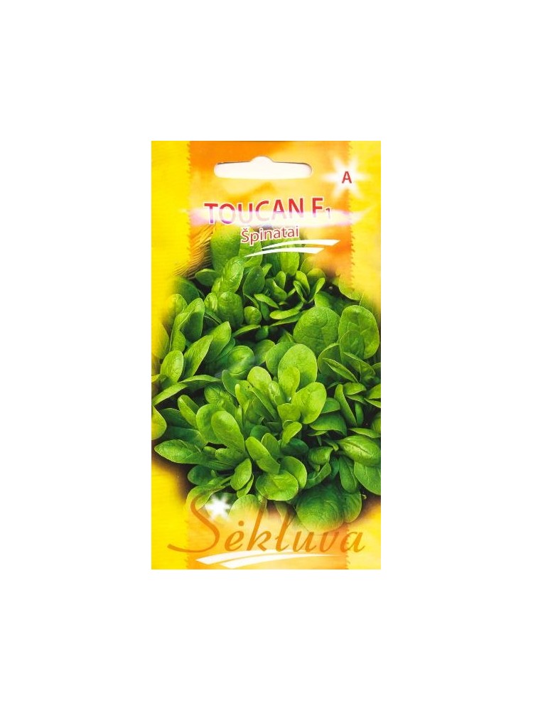 Spinach 'Toucan' H, 400 seeds