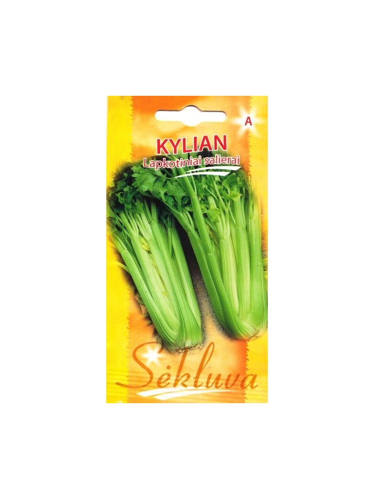 Leaf celery 'Kylian' 50 seeds