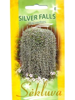 Дихондра серебристая 'Silver Falls' 10 семян