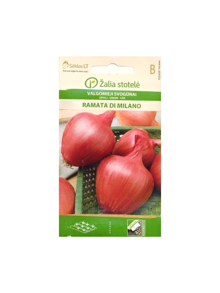 Onion 'Ramata di Milano' 1 g