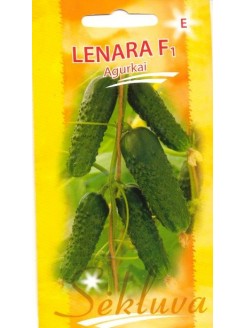 Cucumber 'Lenara' H, 20 Samen