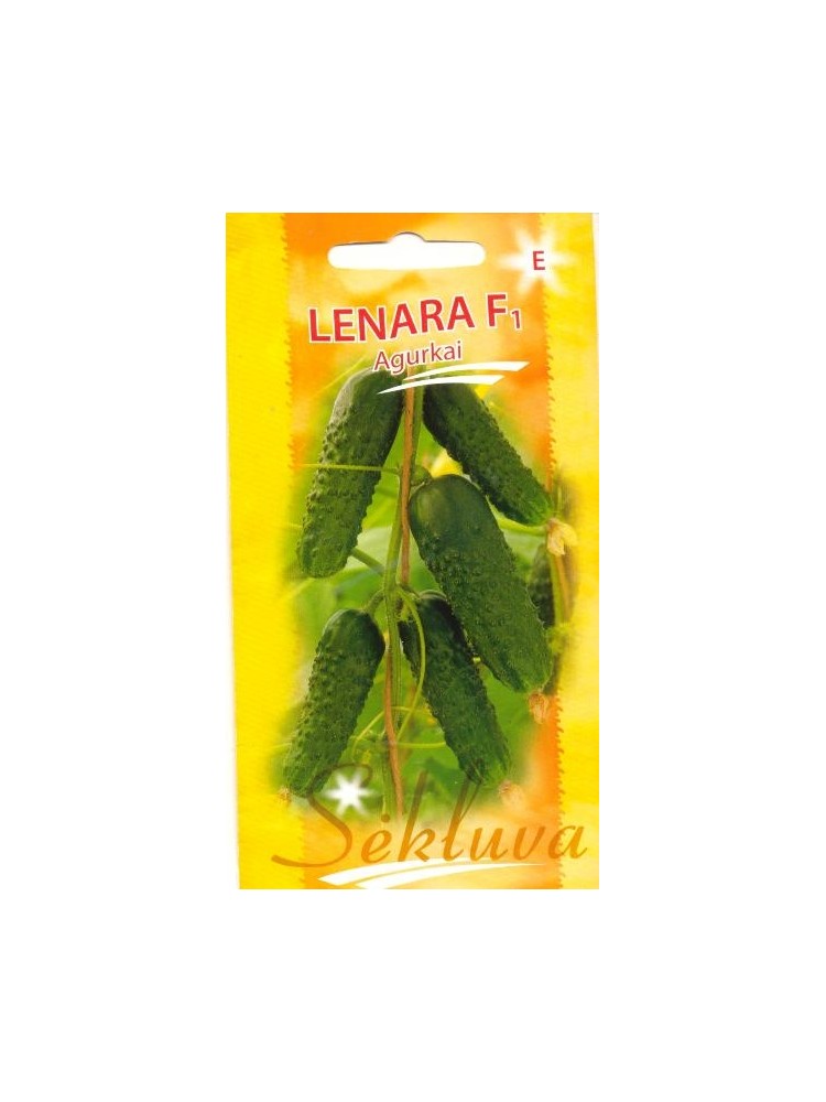 Concombre 'Lenara' H, 20 graines