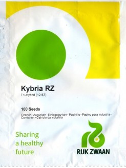 Lauku gurķis 'Kybria' H, 100 sēklas