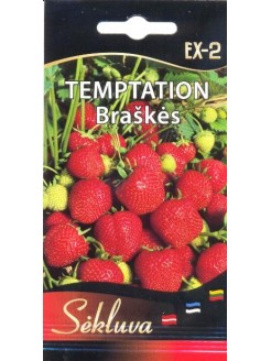 Garden strawberry 'Temtation' 20 seeds