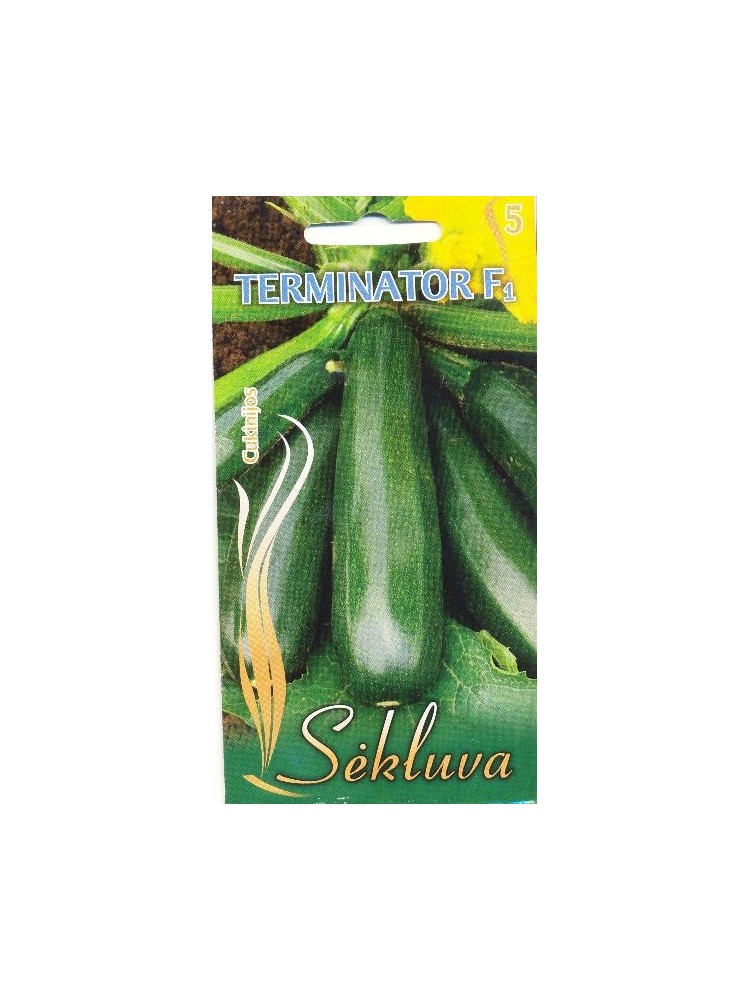 Zucchini 'Terminator' H, 6 seeds