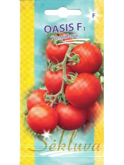 Pomodoro 'Oasis' H, 10 semi