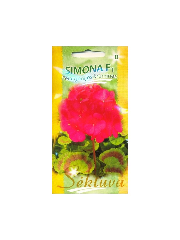 Zonal geraniums 'Simona' H, 5 sėklos