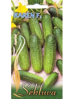 Concombre 'Karen' H, 1 g