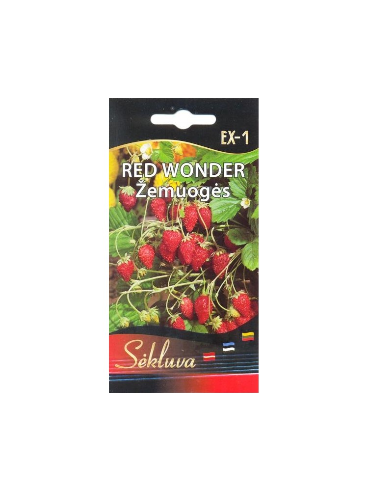 Strawberry 'Red Wonder' 0,1 g