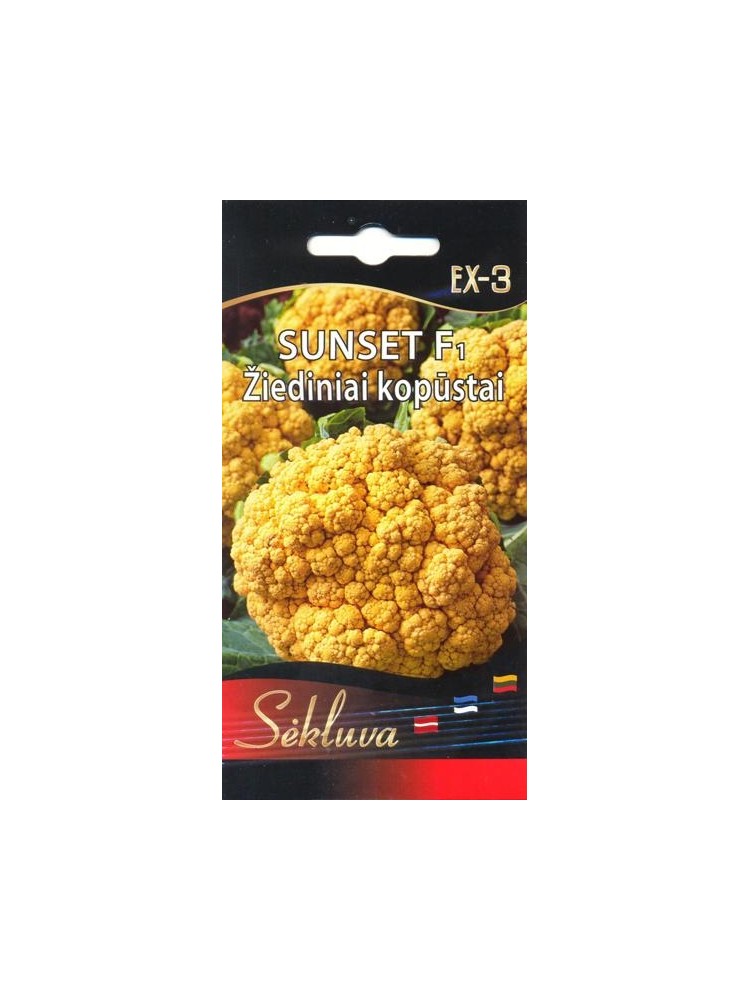 Cauliflower 'Sunset' H, 15 seeds