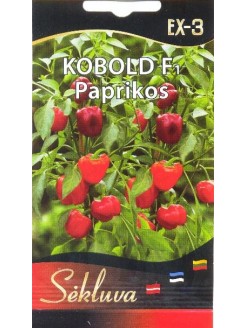 Paprika 'Kobold' H, 6 seemned