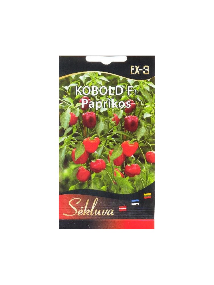 Paprika 'Kobold' H, 6 Samen