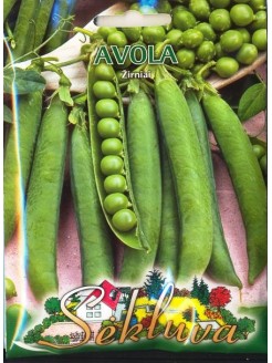 Pois cultivé 'Avola' 50 g