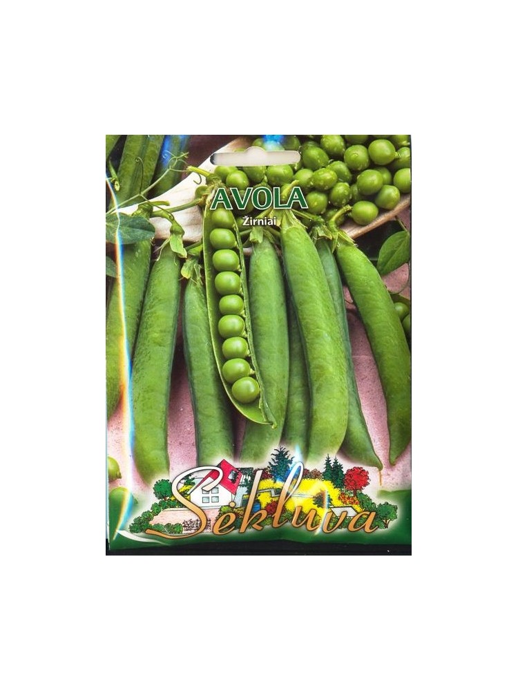 Pea 'Avola' 50 g