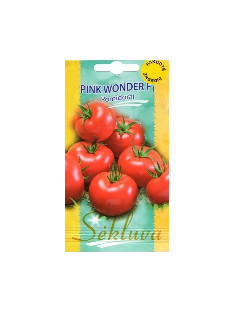 Pomodoro 'Pink Wonder' H, 100 semi