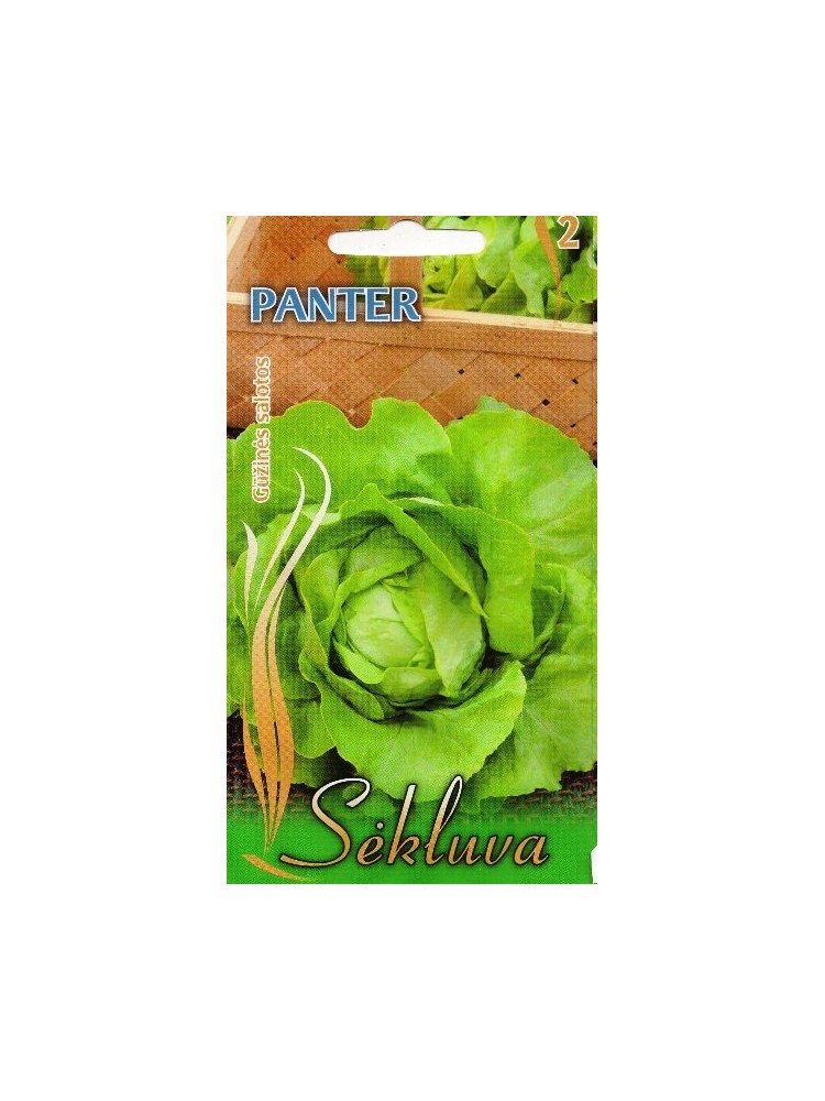 Salāti 'Panter' 1 g
