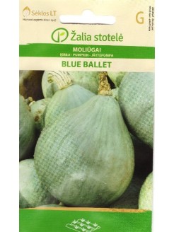 Suureviljalise kõrvitsa 'Blue Ballet' 5 seemned