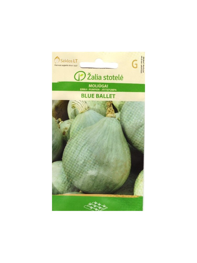 Squash 'Blue Ballet' 5 seeds