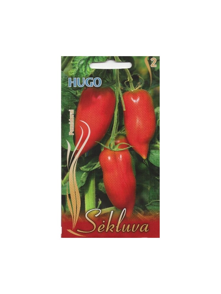 Pomidoro 'Hugo'