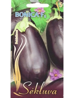 Eggplant 'Bonica' H, 10 seeds