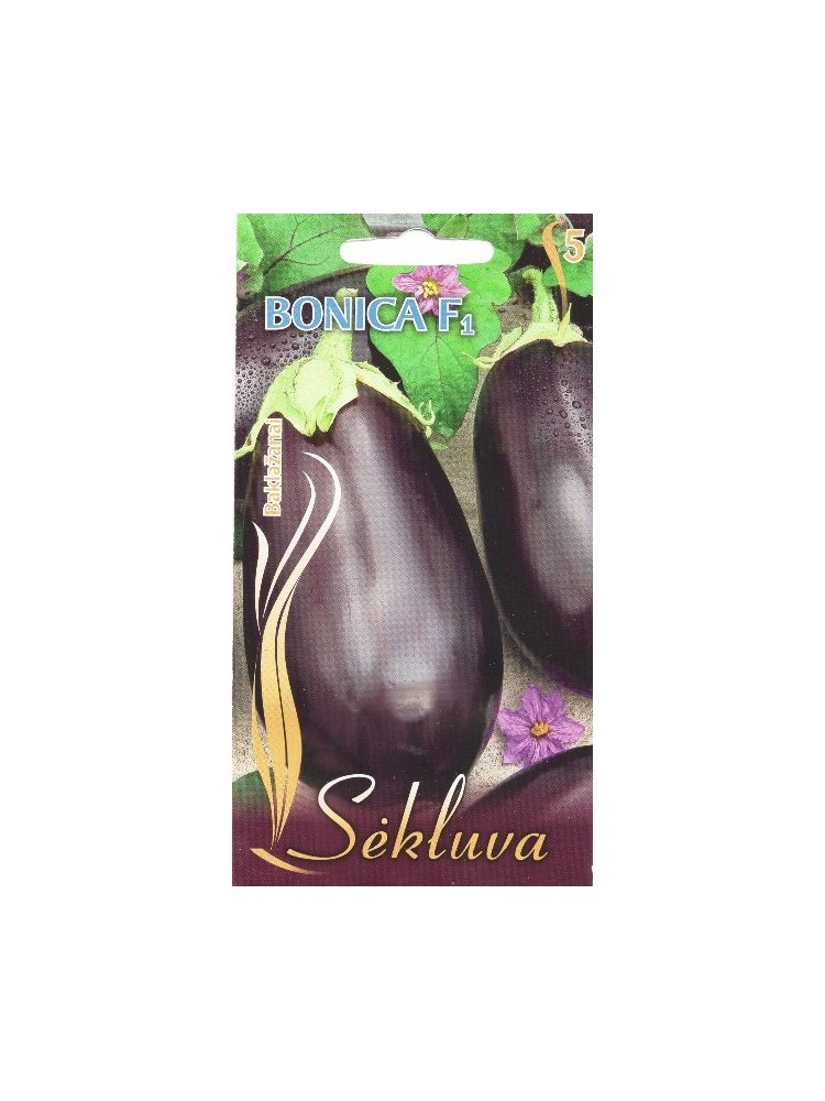 Aubergine 'Bonica' H, 10 Samen