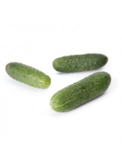 Cucumber 'Kybria' H, 100 seeds