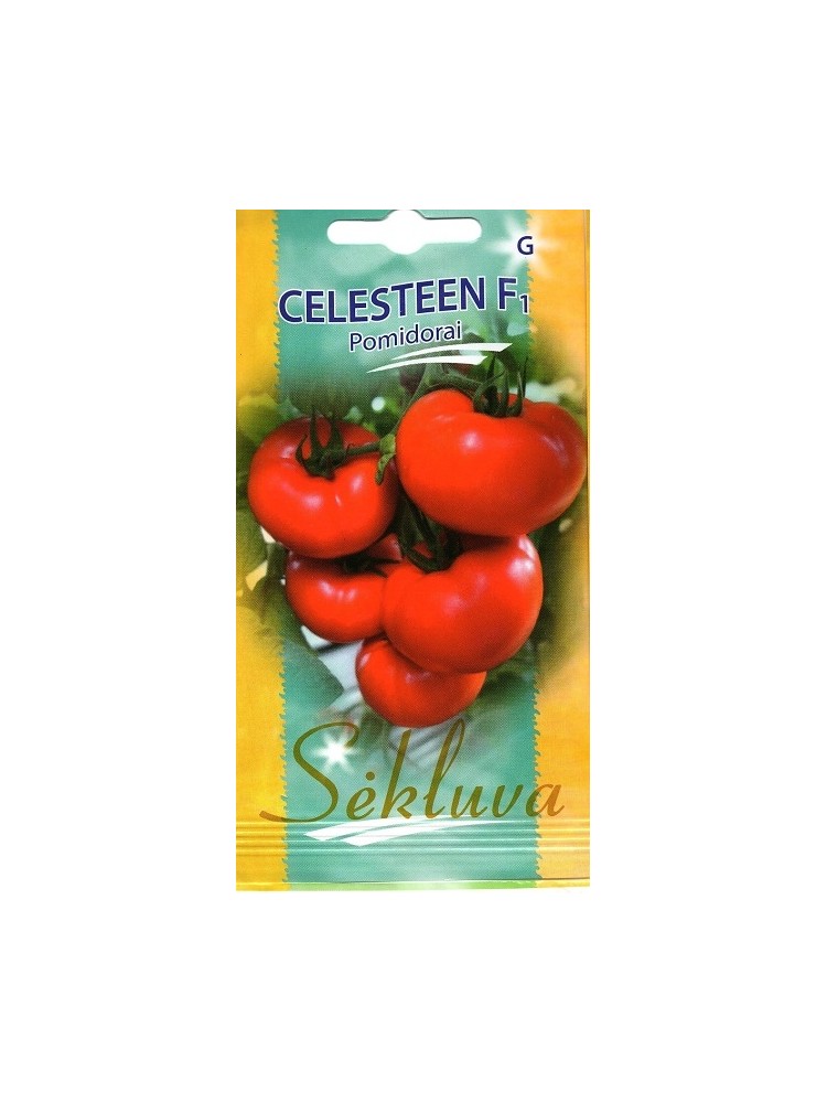 Tomat 'Celesteen' H,  10 seemet