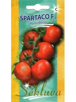 Pomodoro 'Spartaco' H, 10 semi