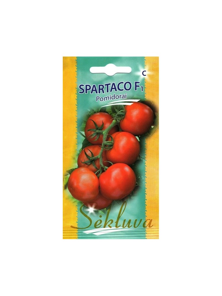 Pomodoro 'Spartaco' H, 10 semi