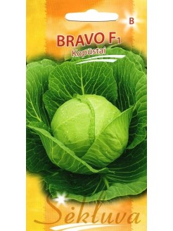 Капуста белокочанная 'Bravo' H, 40 семян