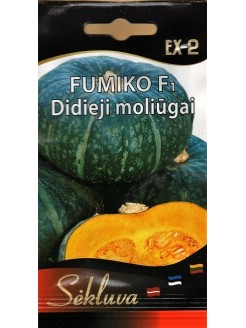 Lielaugļu ķirbji 'Fumiko' H, 5 sēklas