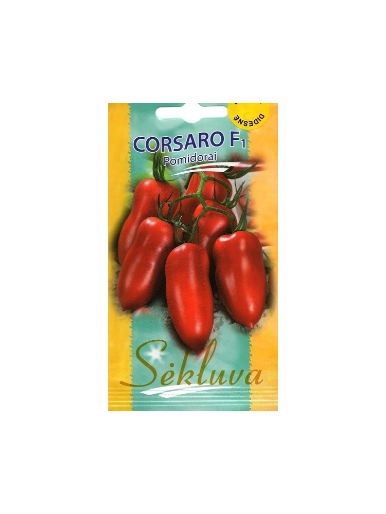 Tomato 'Corsaro' H, 100 seeds