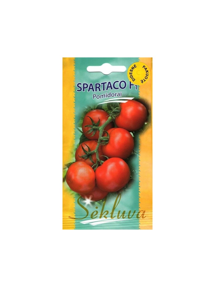 Pomodoro 'Spartaco' H, 100 semi