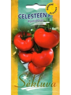 Pomodoro 'Celesteen' H, 100 semi