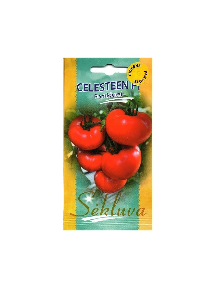 Tomato 'Celesteen' H, 100 seeds