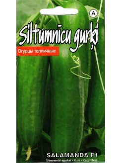 Concombre 'Salamanda' H, 5 semences