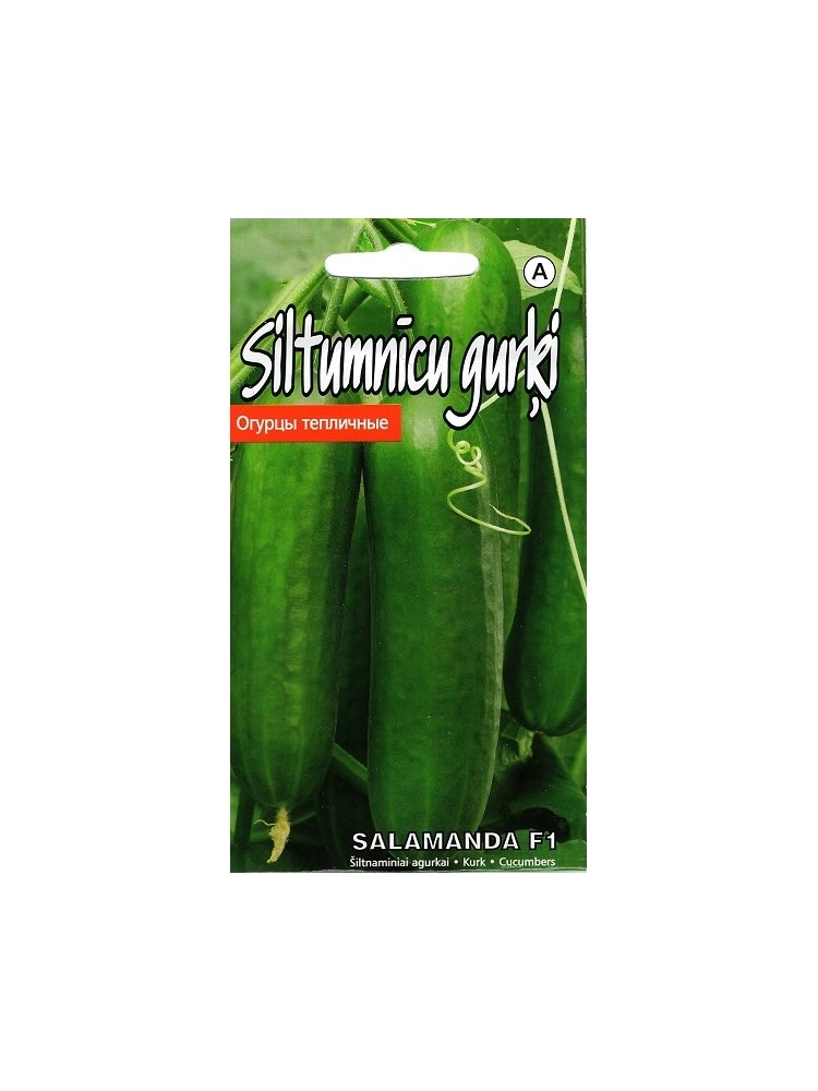 Cucumber 'Salamanda' H, 5 seeds