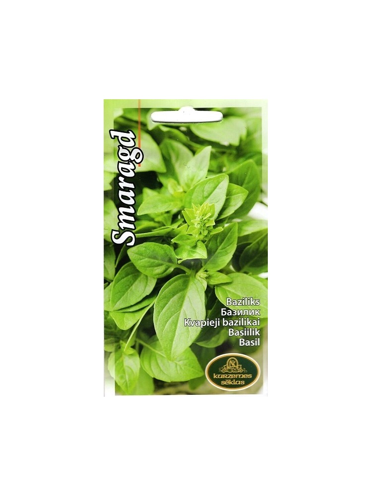 Sweet basil 'Smaragd' 0.5 g