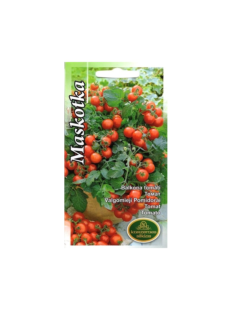 Tomato 'Maskotka' 0,1 g