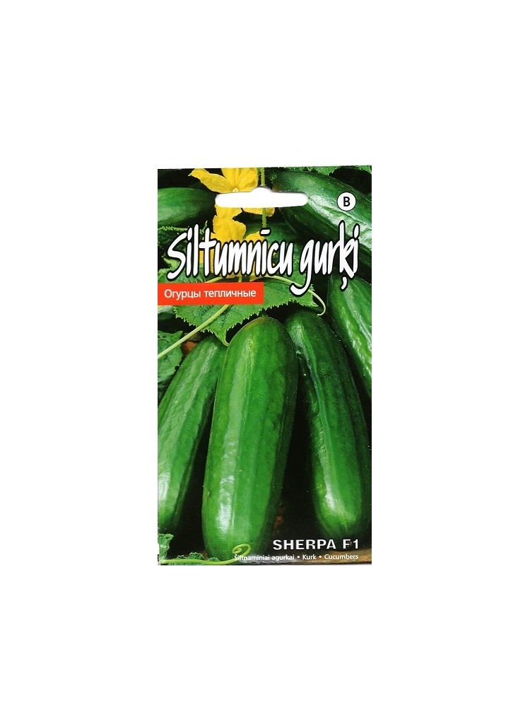 Cucumber 'Sherpa' H, 8 seeds
