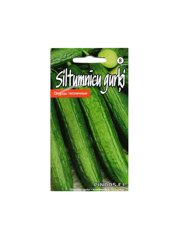 Cucumber 'Pindos' H, 7 seeds