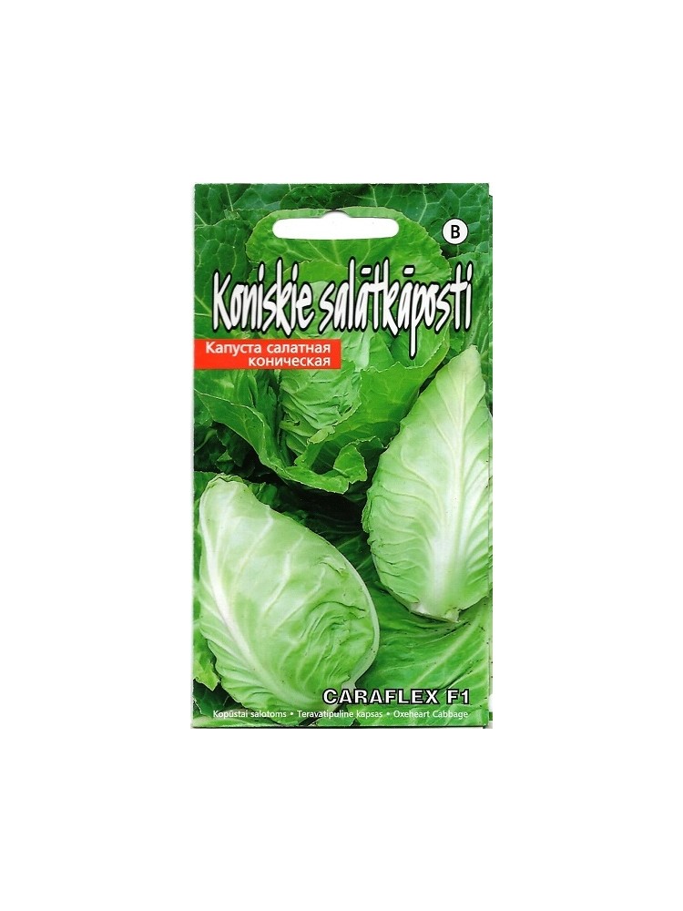White cabbage 'Caraflex' H, 30 seeds