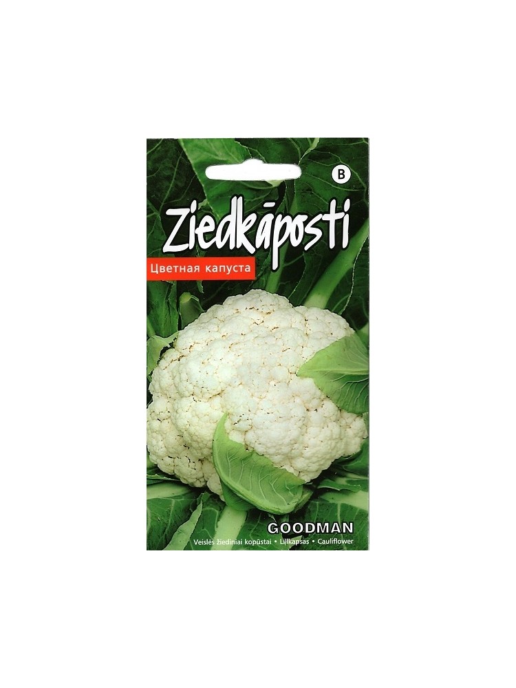 Cauliflower 'Goodman' 30 seeds