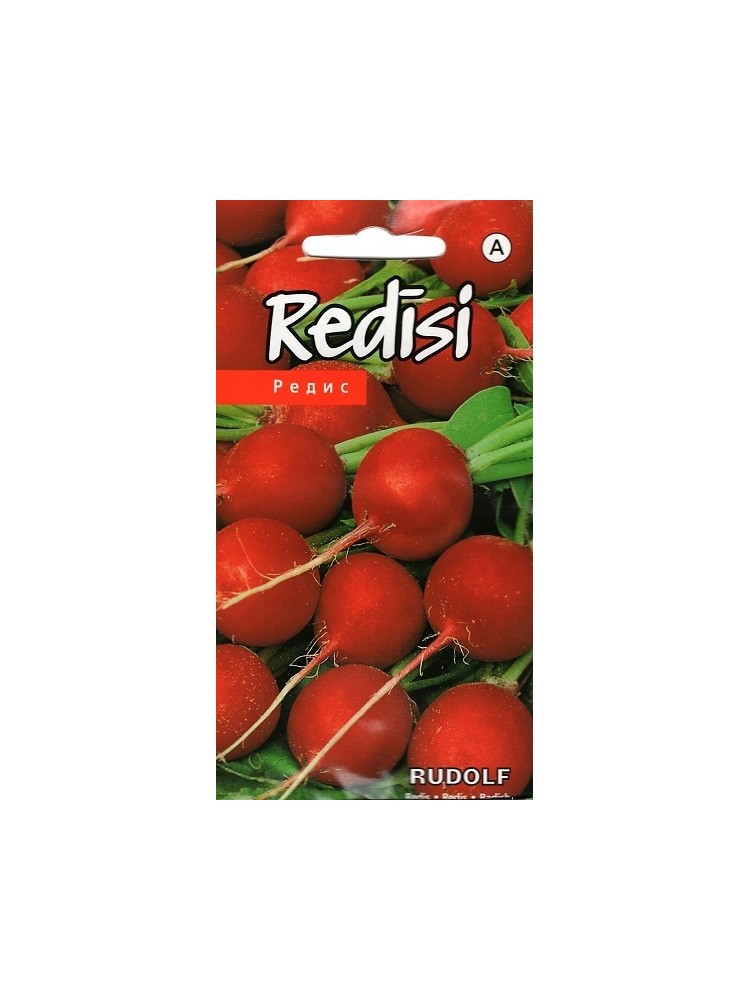 Radish 'Rudolf' 3 g