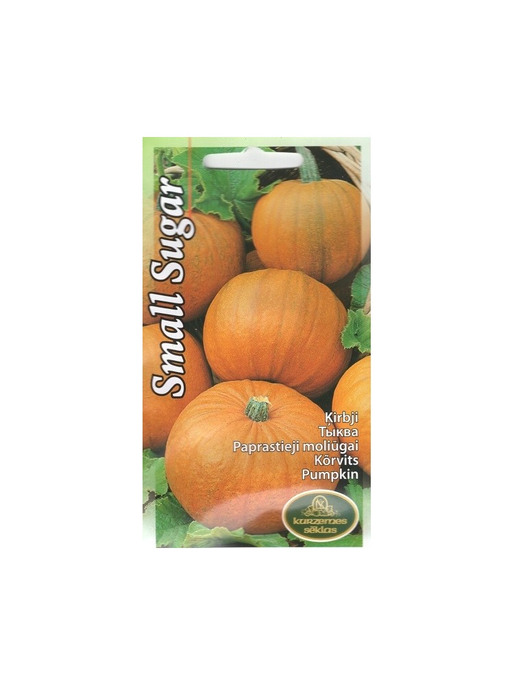 Pumpkin 'Small Sugar' 2 g