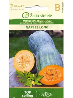 Zucchina trombetta 'Naples Long' 1,5 g